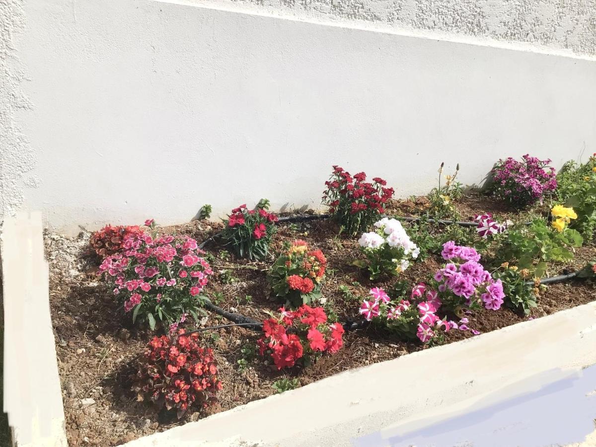 Arokaria Holiday home Platanes (Rethymno)